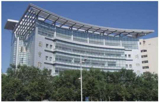 ����ľ�R�D���^